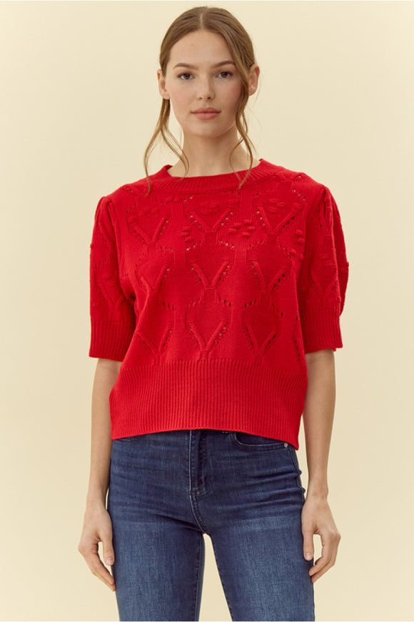 Red Crochet Sweather