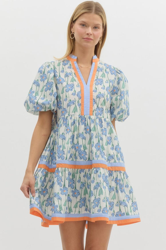Blue Print Bubble Sleeve Dress