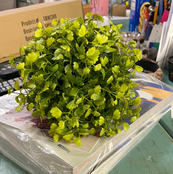 Maiden Hair Fern Orb